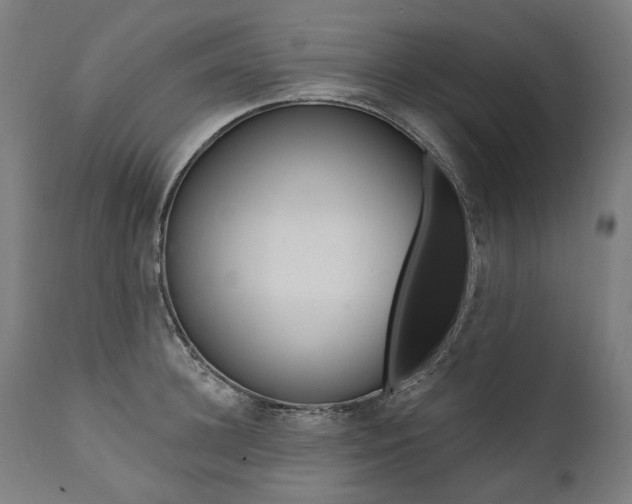 X0000112100948200908041109