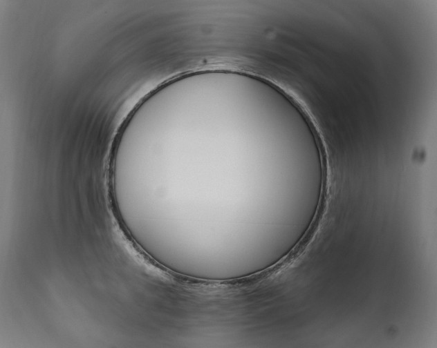 X0000112100949200908041109