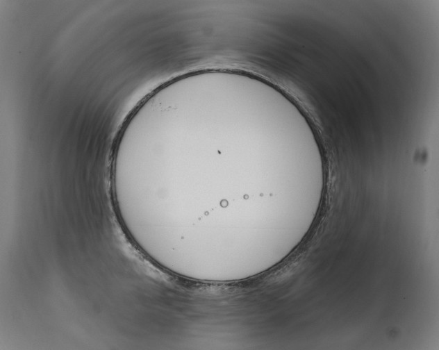 X0000112100950200908041109