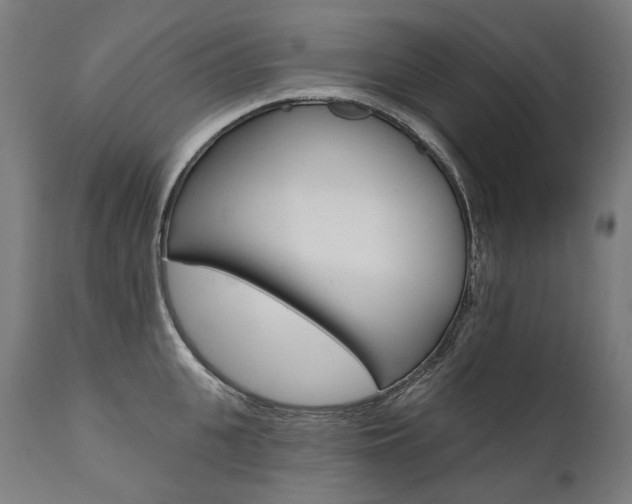 X0000112100951200908041109