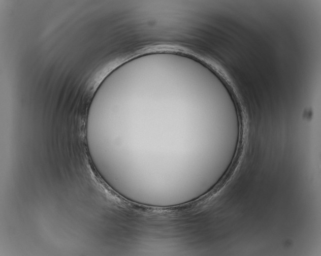 X0000112100953200908041109