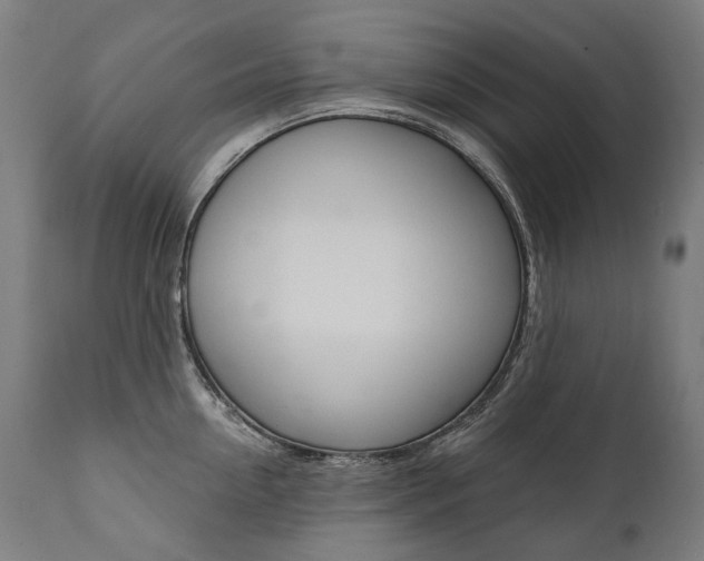X0000112100954200908041109