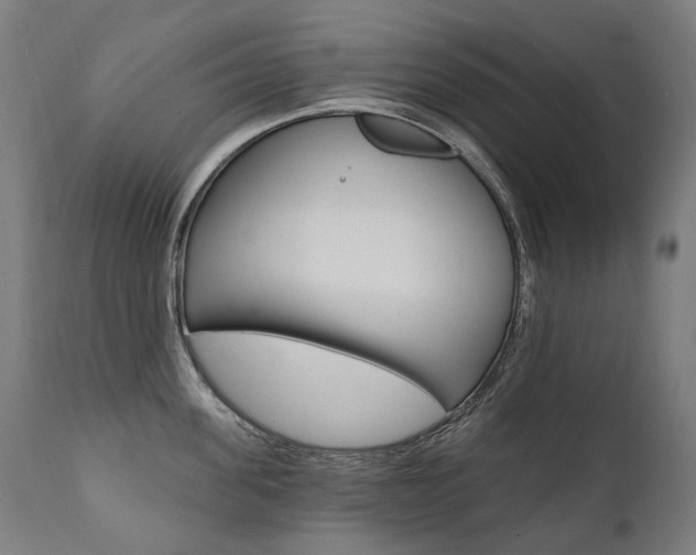 X0000112100955200908041109