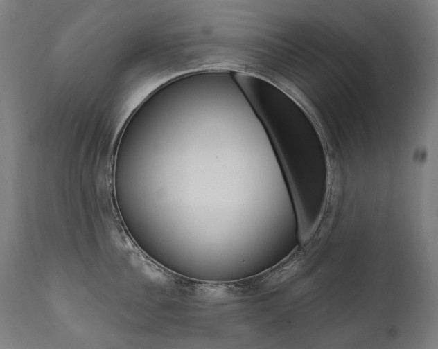 X0000112100956200908041109