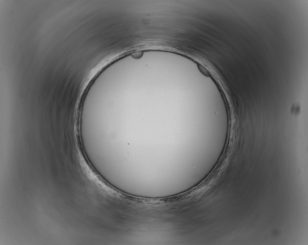 X0000112100957200908041109