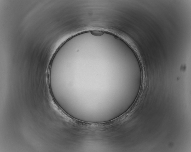 X0000112100958200908041109