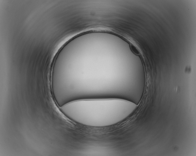 X0000112100959200908041109