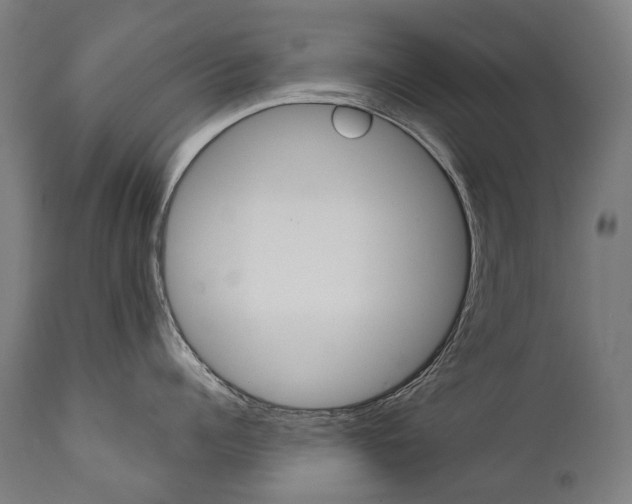 X0000112100960200908041109