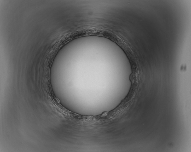X0000112100961200908041109