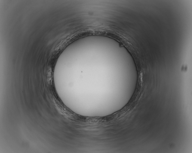 X0000112100963200908041109