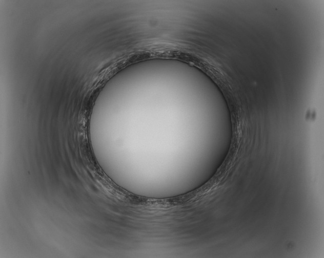 X0000112100964200908041109