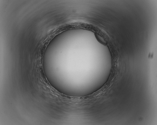 X0000112100965200908041109