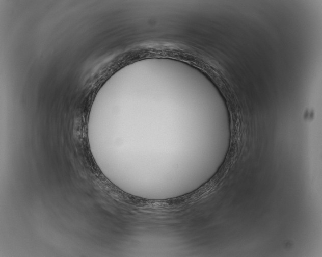 X0000112100966200908041109