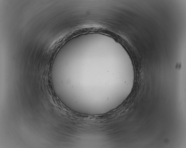 X0000112100967200908041109