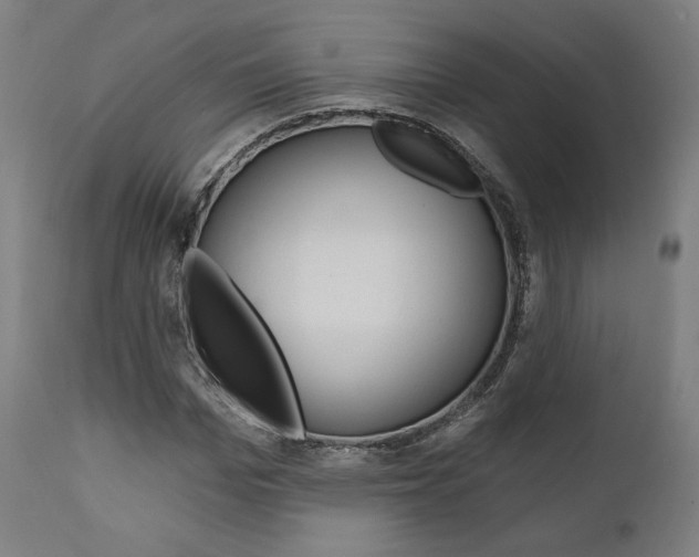 X0000112100969200908041109
