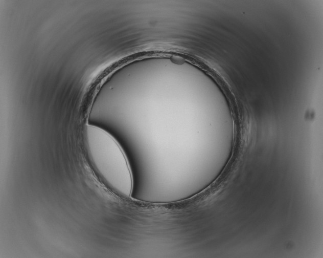 X0000112100971200908041109