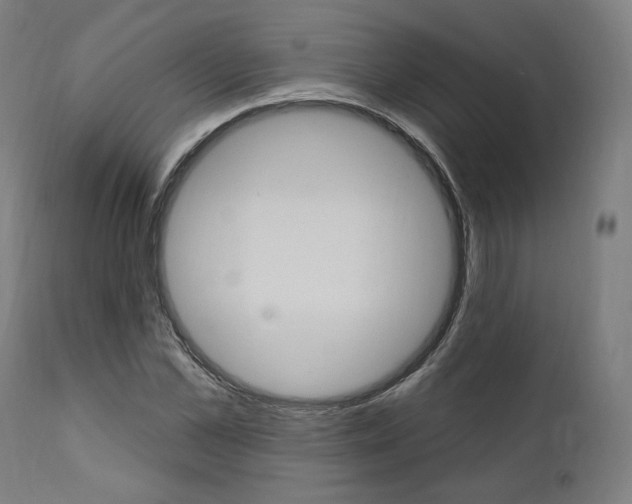 X0000112100973200908041109