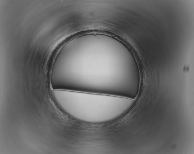 X0000112100975200908041109