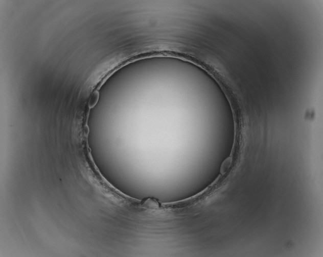 X0000112100977200908041109