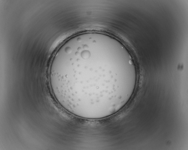 X0000112100978200908041109