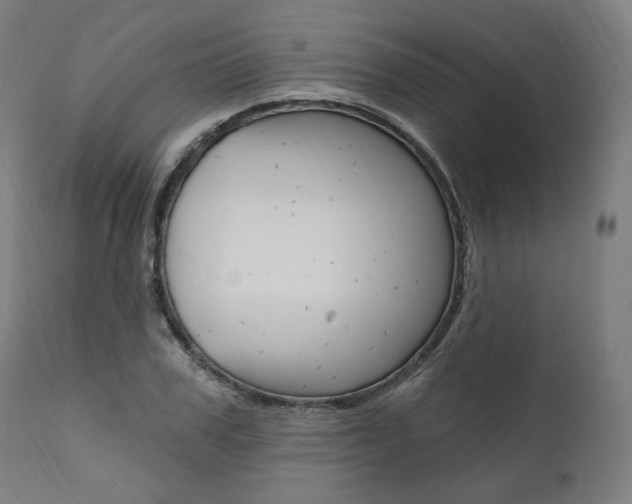 X0000112100979200908041109