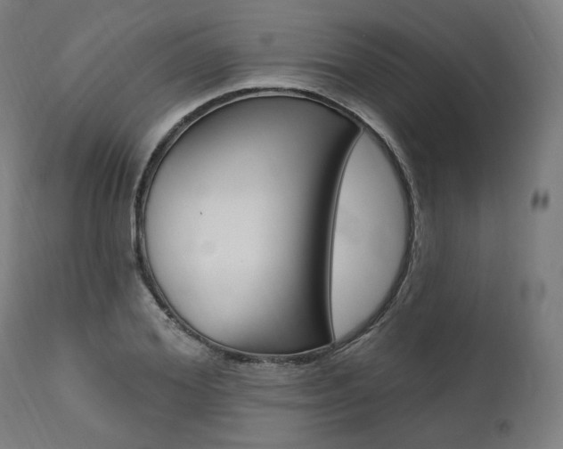X0000112100980200908041109