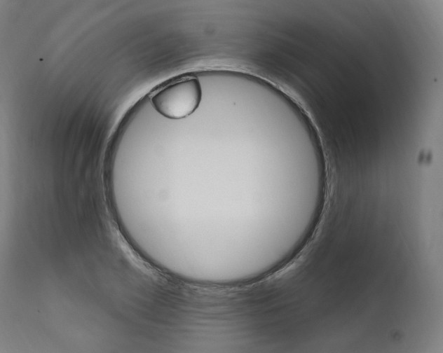 X0000112100981200908041109