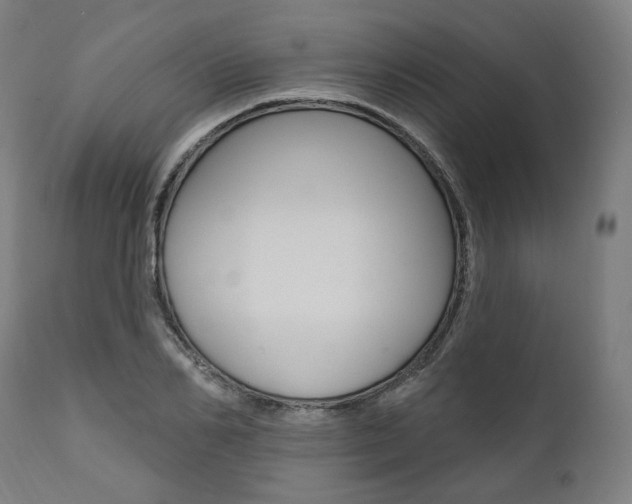 X0000112100982200908041109