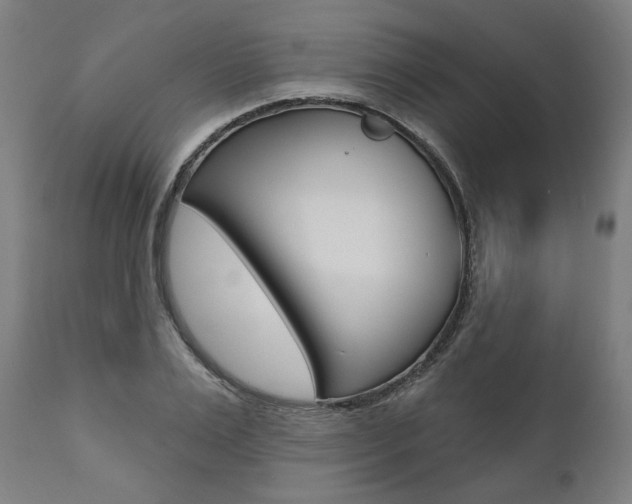 X0000112100983200908041109