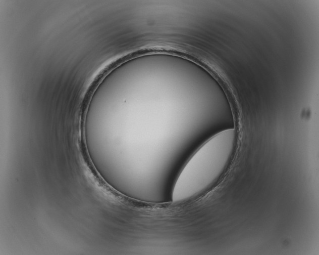 X0000112100984200908041109