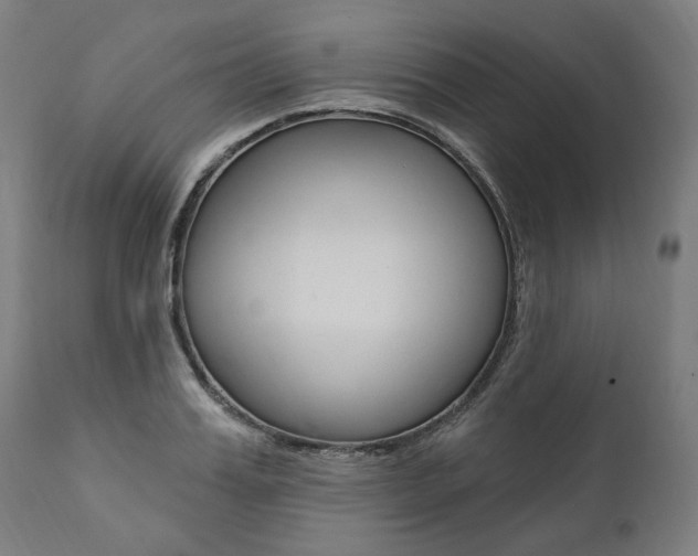 X0000112100987200908041108