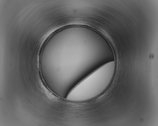 X0000112100988200908041108