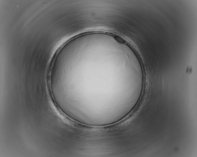 X0000112100989200908041108