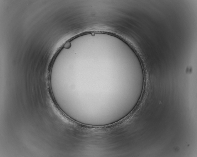 X0000112100990200908041108