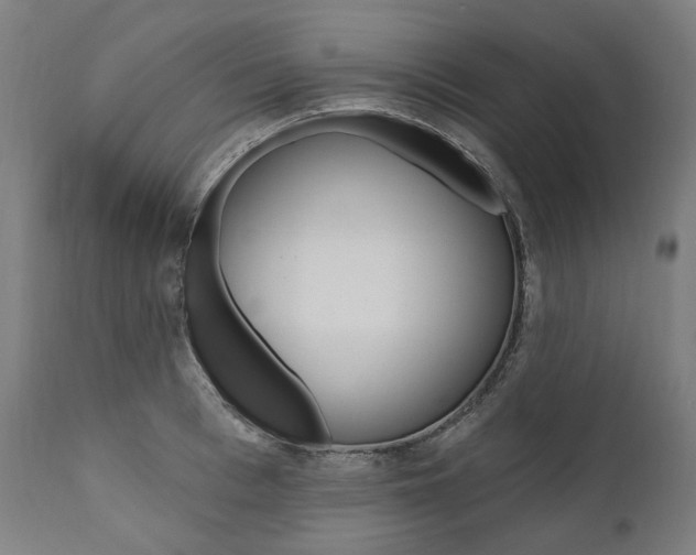 X0000112100993200908041108