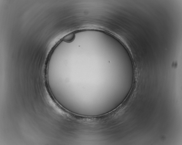 X0000112100995200908041108