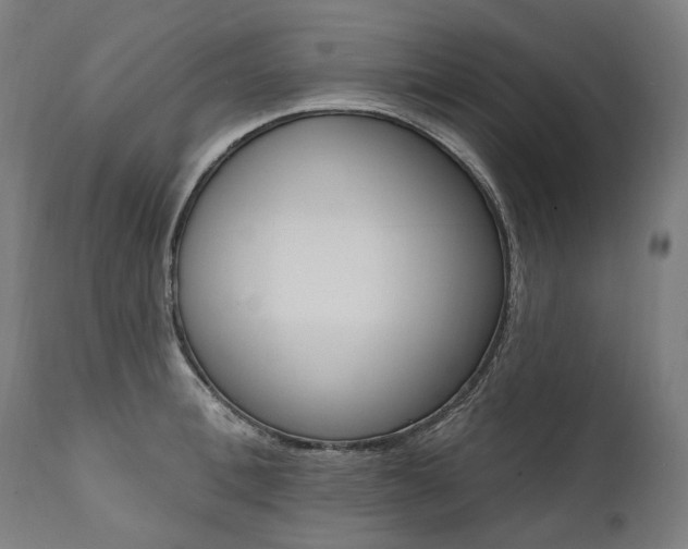 X0000112100996200908041108