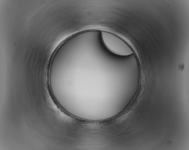 X0000112100999200908041108