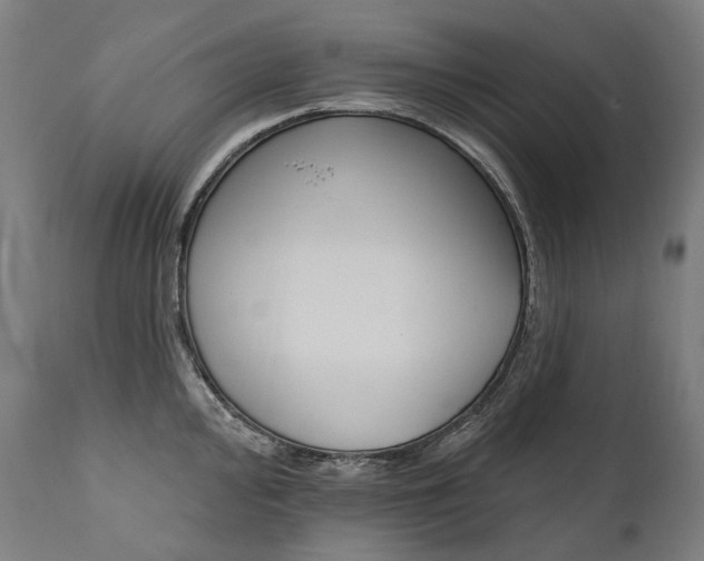 X0000112101000200908041108