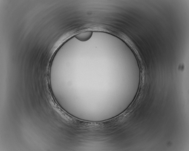 X0000112101002200908041108