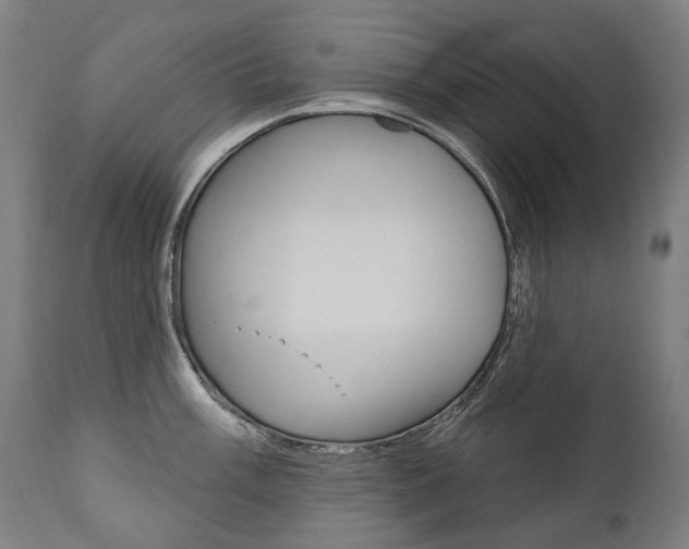 X0000112101003200908041108