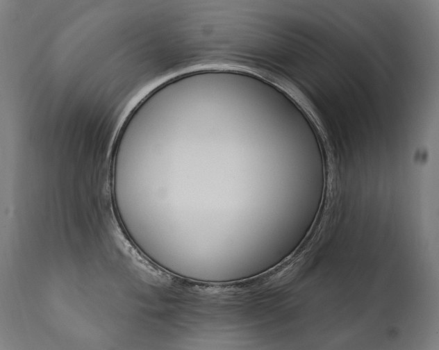 X0000112101004200908041108