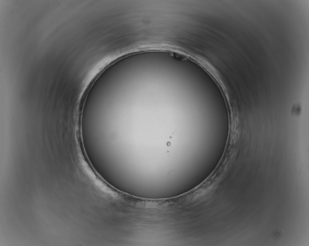 X0000112101005200908041108