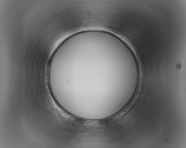X0000112101006200908041108