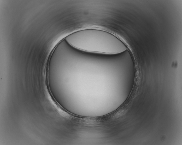 X0000112101007200908041108
