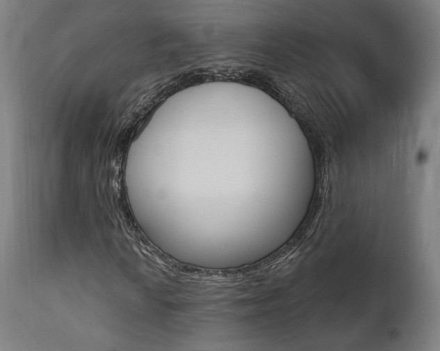 X0000112101010200908041108