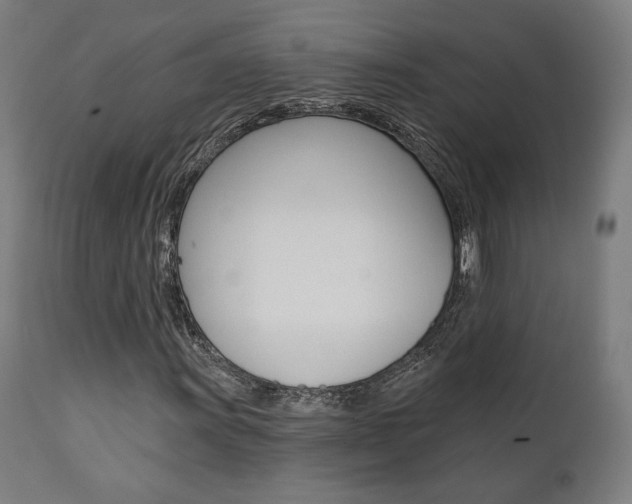 X0000112101011200908041108