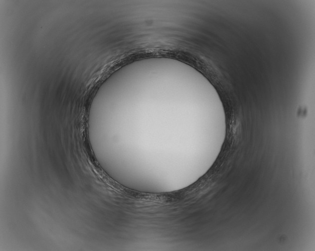 X0000112101012200908041108