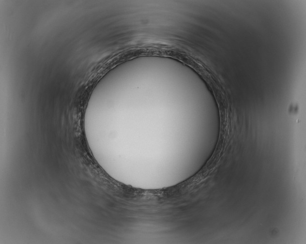 X0000112101013200908041108