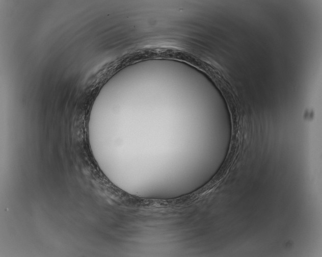 X0000112101014200908041108